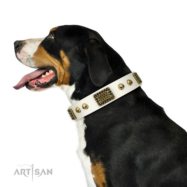 Rust-proof fittings on leather dog collar for walking