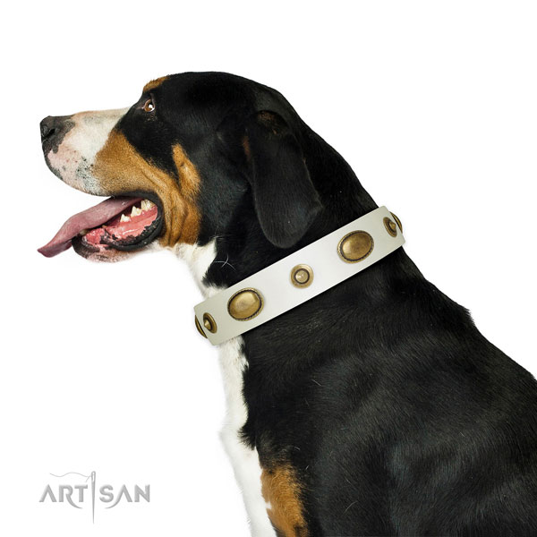 Everyday use dog collar of genuine leather with incredible studs