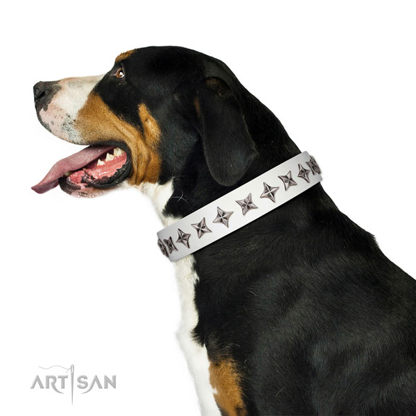 Fine quality leather dog collar with awesome decorations