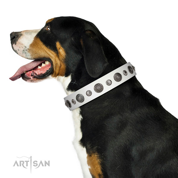 Designer full grain genuine leather dog collar with rust resistant traditional buckle