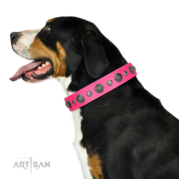 Easy adjustable leather dog collar with corrosion proof fittings