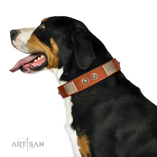 Corrosion proof fittings on leather dog collar for daily use