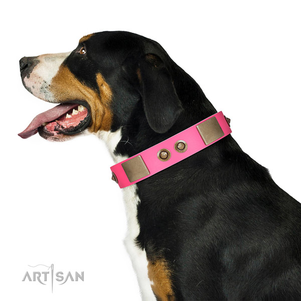 Stylish walking dog collar of natural leather with significant embellishments