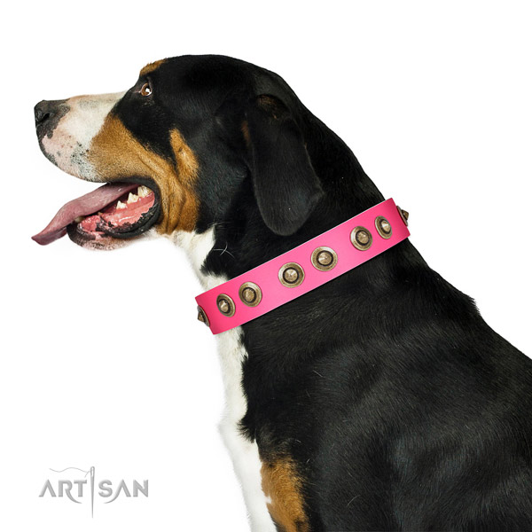 Natural leather collar with studs for your beautiful four-legged friend