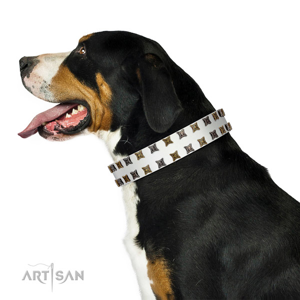 Top rate full grain natural leather dog collar with adornments for your doggie