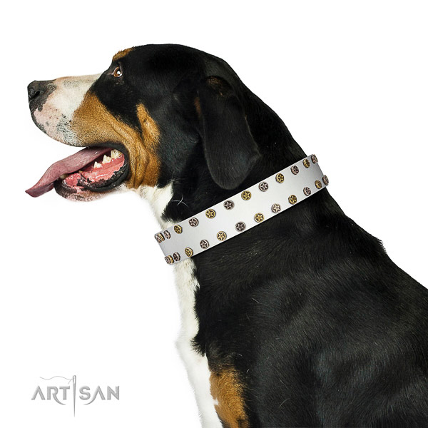 Trendy leather dog collar with reliable decorations