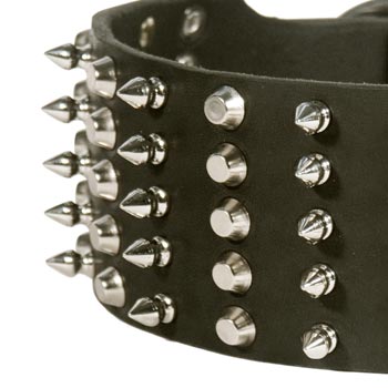 Leather Wide Dog Collar for Swiss Mountain Dog