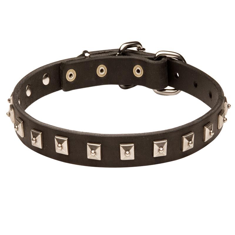 Swiss Mountain Dog Leather Collar Caterpillar Design [C26##1116 Leather ...