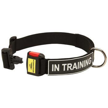 Nylon Dog Collar for Swiss Mountain Dog Police Training