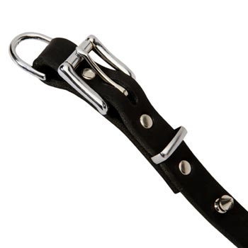 Swiss Mountain Dog Dog Leather Collar Rust-proof Spikes