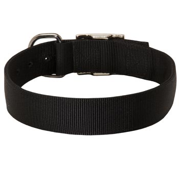Nylon Collar for Swiss Mountain Dog Comfy Training