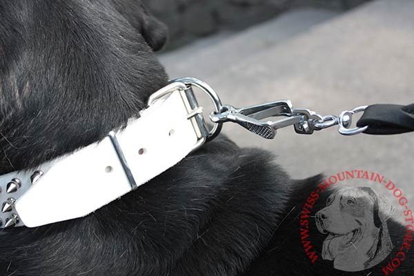 Leather Swiss Mountain Dog Collar with Shiny Polished Hardware