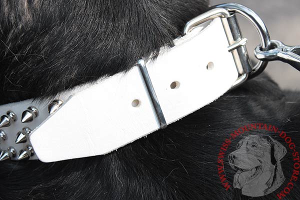 White Leather Swiss Mountain Dog Collar with Polished Hardware