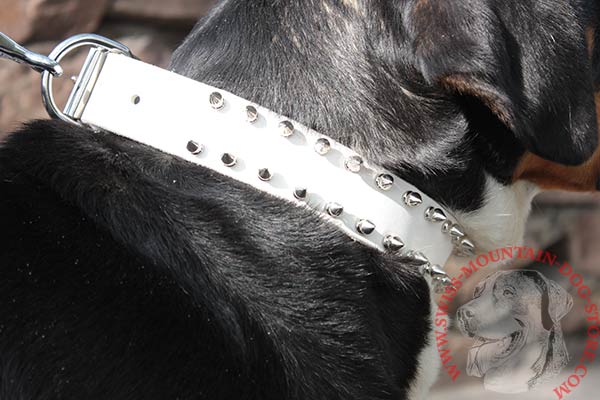 Swiss Mountain Dog Collar with Non-Corrosive Spikes