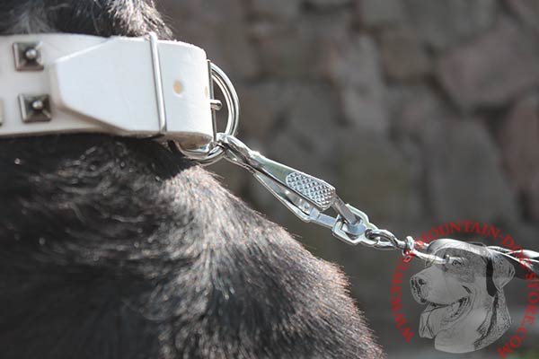 Swiss Mountain Dog white leather collar with strong quick release buckle for walking