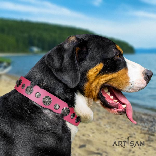 Swiss Mountain basic training leather collar with embellishments for your dog