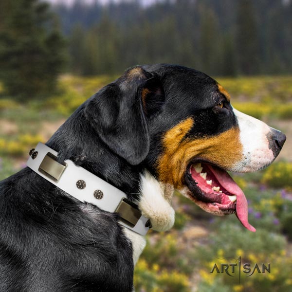 Swiss Mountain stylish walking genuine leather collar with studs for your doggie