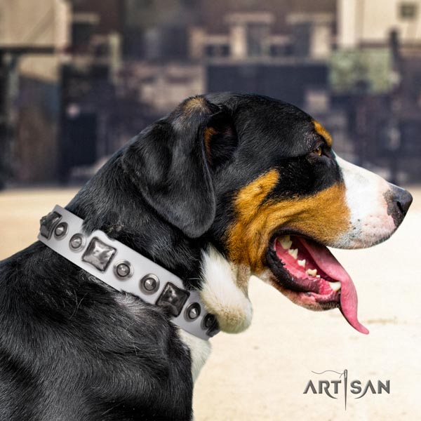 Swiss Mountain handy use genuine leather collar with studs for your pet