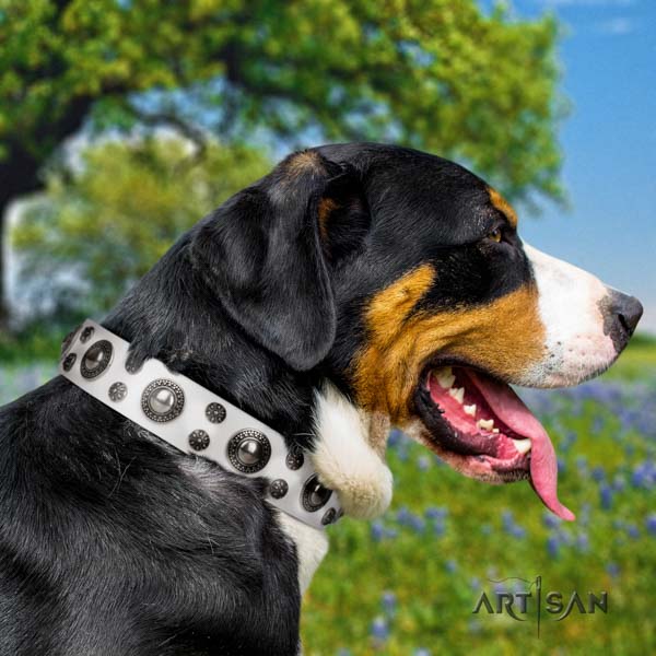 Swiss Mountain daily use full grain leather collar with adornments for your four-legged friend