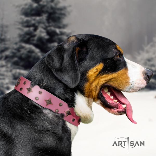 Swiss Mountain fancy walking natural leather collar with embellishments for your four-legged friend