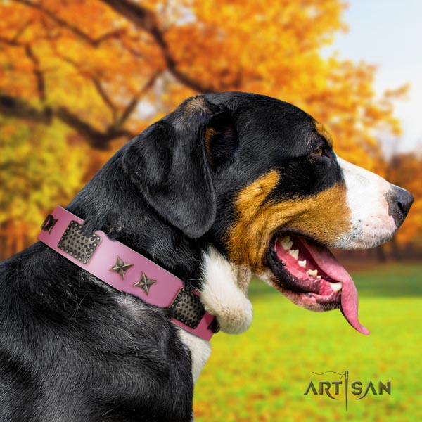 Swiss Mountain basic training leather collar with embellishments for your canine