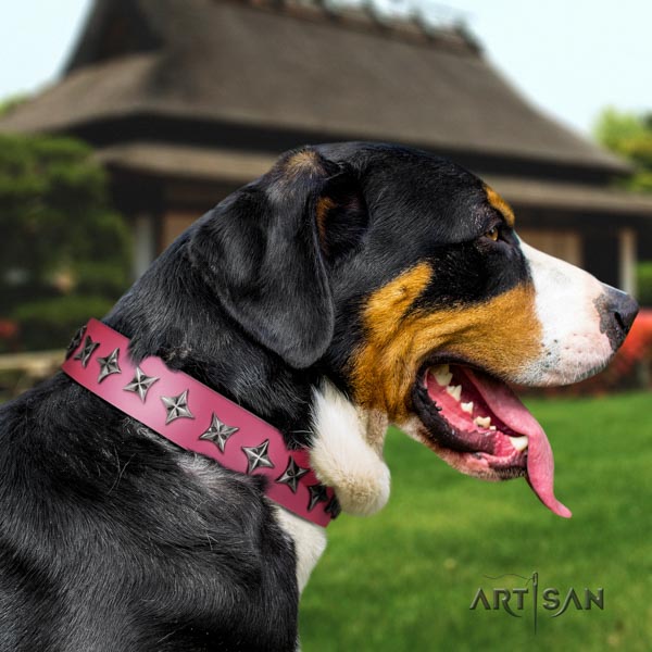 Swiss Mountain comfortable wearing full grain leather collar with adornments for your pet