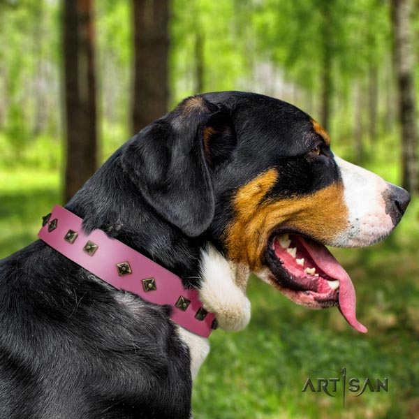 Swiss Mountain comfortable wearing full grain natural leather collar with studs for your pet