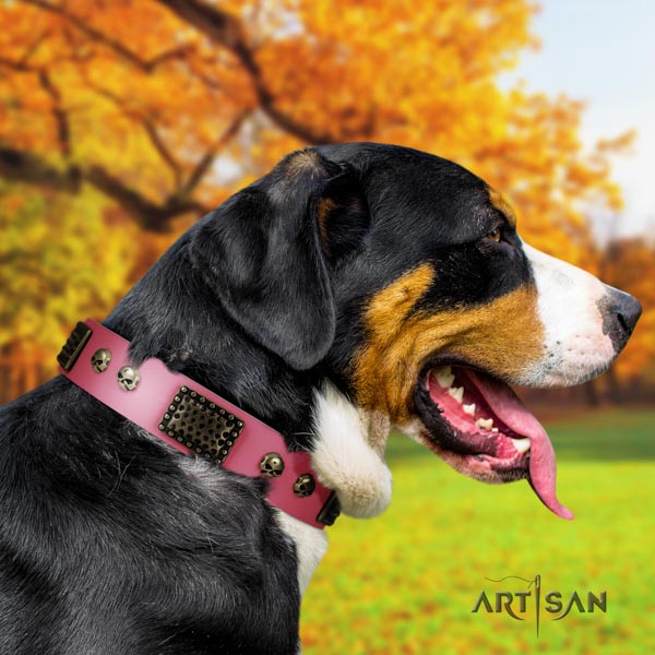 Swiss Mountain stylish walking natural leather collar with embellishments for your dog