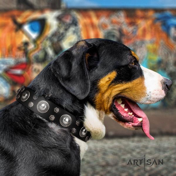 Swiss Mountain daily walking leather collar with studs for your four-legged friend