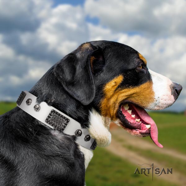 Swiss Mountain easy wearing full grain genuine leather collar with embellishments for your dog