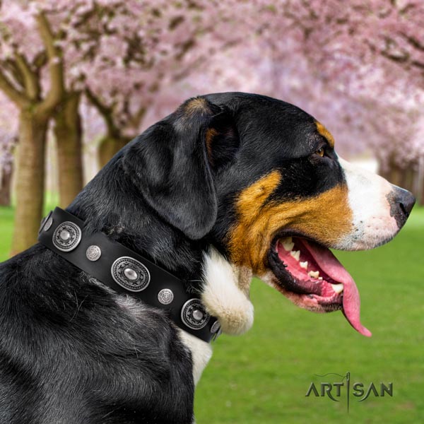 Swiss Mountain handy use natural leather collar with studs for your doggie