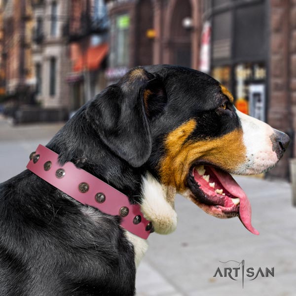 Swiss Mountain basic training full grain leather collar with studs for your doggie