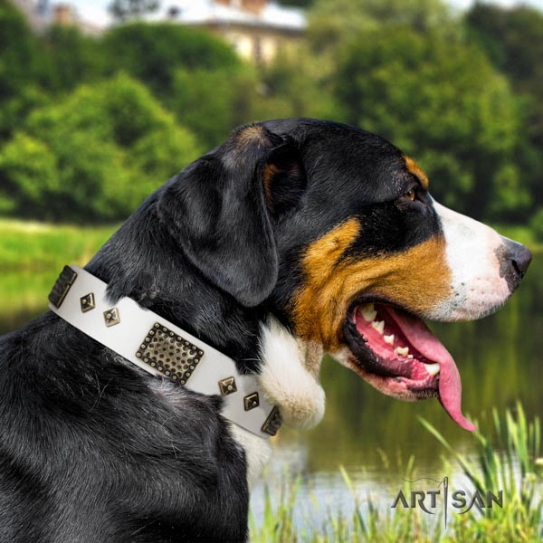 Swiss Mountain daily use full grain genuine leather collar with adornments for your pet