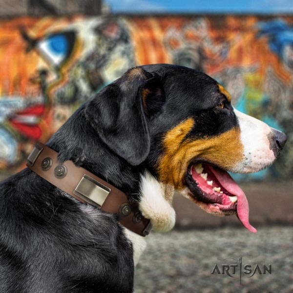 Swiss Mountain fancy walking full grain leather collar with adornments for your four-legged friend