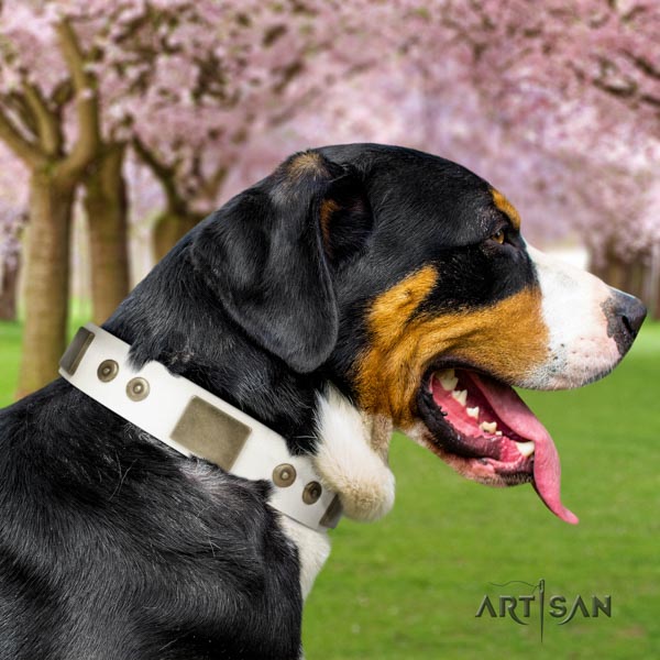 Swiss Mountain everyday use full grain genuine leather collar with embellishments for your four-legged friend