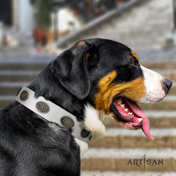 Swiss Mountain basic training leather collar with adornments for your four-legged friend