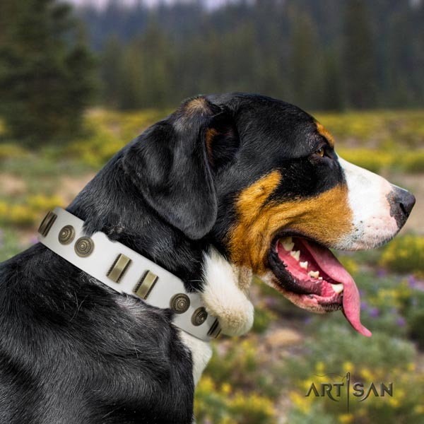 Swiss Mountain handy use natural leather collar with adornments for your doggie