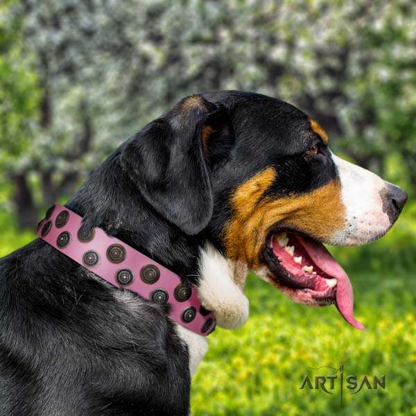Swiss Mountain fancy walking leather collar with adornments for your doggie