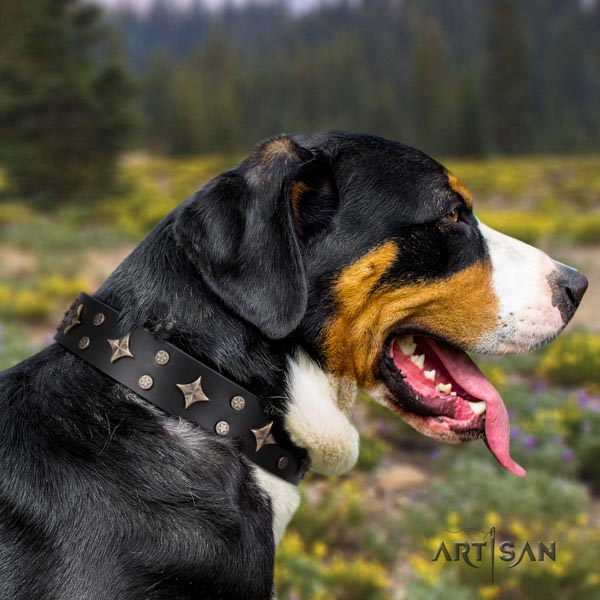 Swiss Mountain basic training genuine leather collar with embellishments for your canine