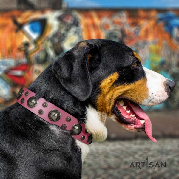 Swiss Mountain comfortable wearing full grain leather collar with embellishments for your doggie