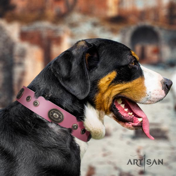 Swiss Mountain daily use natural leather collar with decorations for your dog