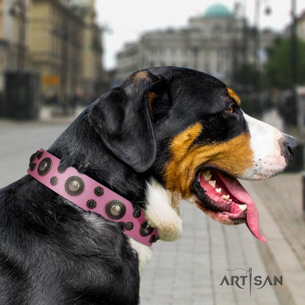 Swiss Mountain daily use full grain leather collar with studs for your doggie