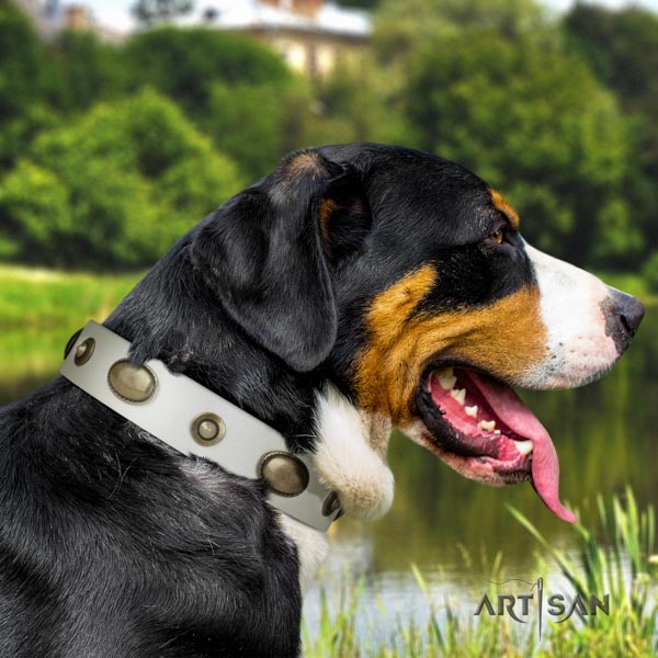 Swiss Mountain daily walking natural leather collar with adornments for your dog