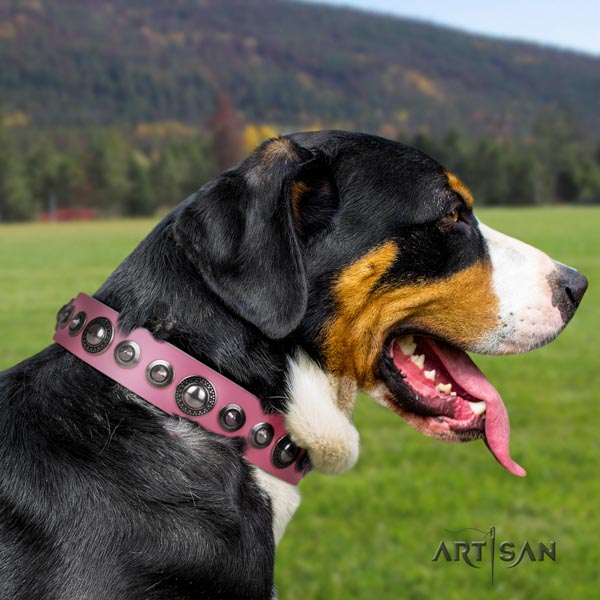 Swiss Mountain fancy walking full grain genuine leather collar with embellishments for your doggie