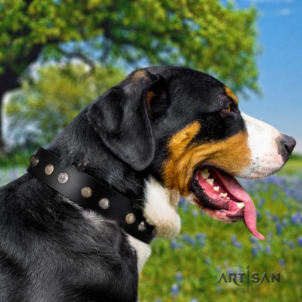 Swiss Mountain handy use full grain leather collar with decorations for your pet