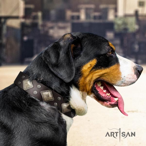 Swiss Mountain comfy wearing full grain genuine leather collar with decorations for your doggie