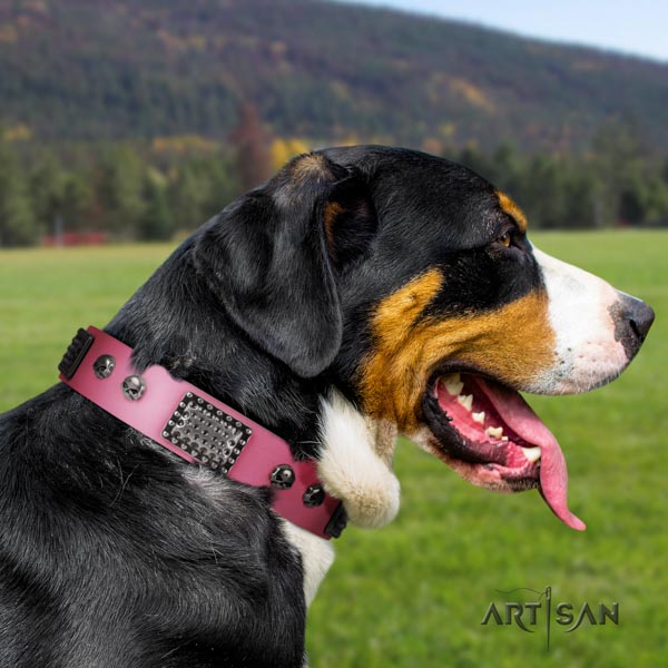 Swiss Mountain everyday walking full grain genuine leather collar with decorations for your four-legged friend