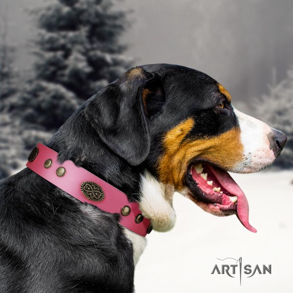 Swiss Mountain basic training full grain leather collar with adornments for your canine