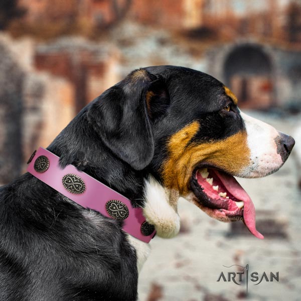 Swiss Mountain everyday walking leather collar with embellishments for your four-legged friend