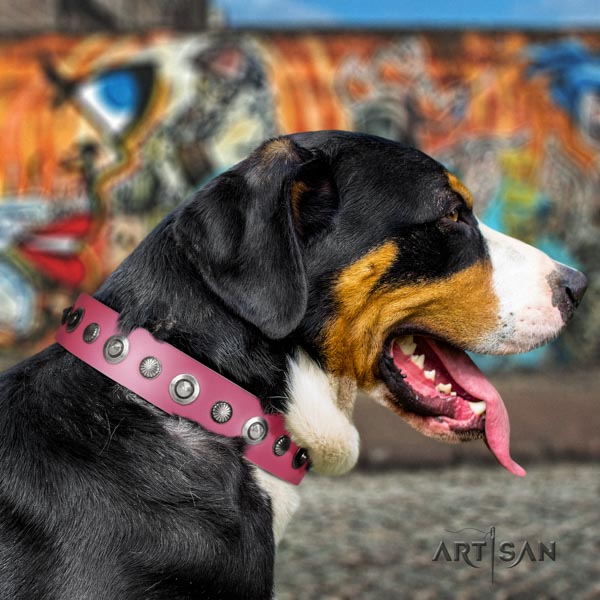 Swiss Mountain walking leather collar with studs for your doggie